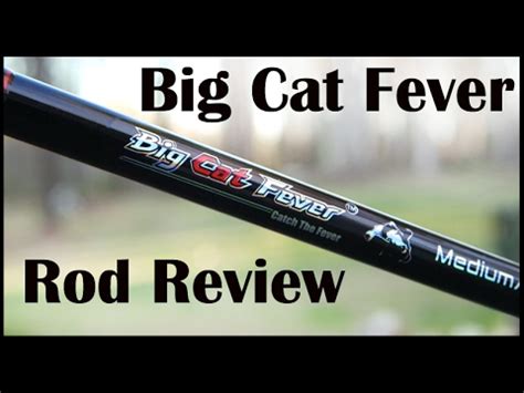 I have been using these big cat fever catfish rods for about 1 1/2 years. Big Cat Fever Catfish Rod Review - YouTube