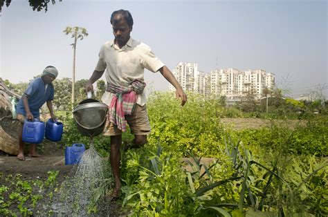 Peri Urban Ecosystems For Urban Climate Change Resilience In India
