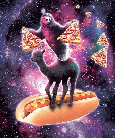Space Sloth With Pizza On Alpaca Riding Hotdog Digital Art By Random