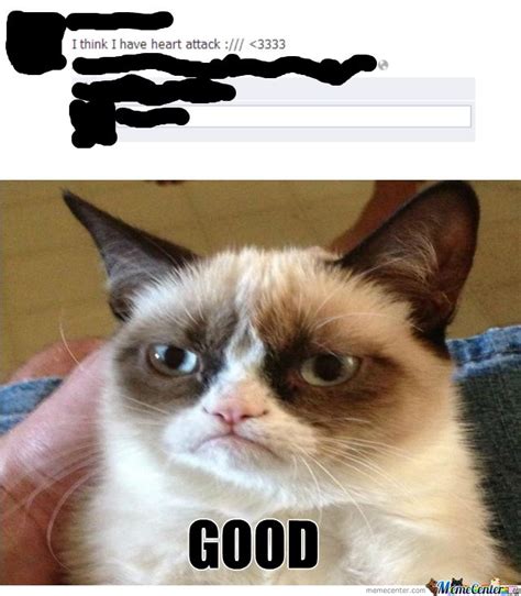 Collect The Stunning Funny Memes Grumpy Cat People Hilarious Pets