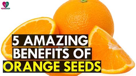 5 Amazing Benefits Of Orange Seeds Youtube