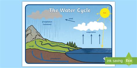 Free Simple Water Cycle Display Poster Teacher Made