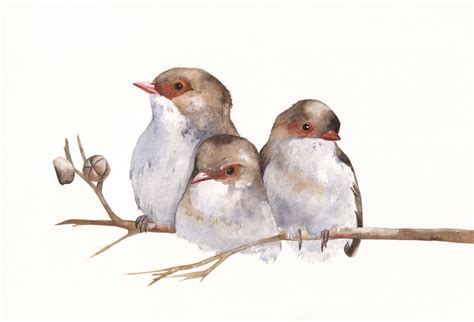 Wrens Painting Bird Art Wildlife Art Watercolor Paintings