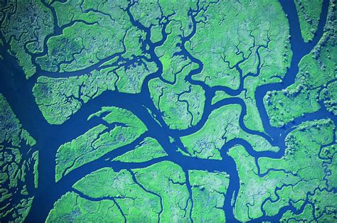 Keadaan topografi mempengaruhi kebutuhan air irigasi. Pola Aliran Sungai - Pengertian, Jenis & Bentuk Aliran ...