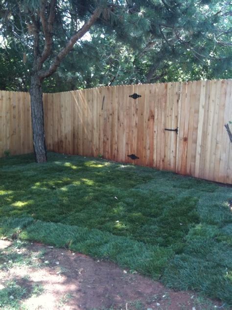 Justice Fescue Sod By Sherry® Inc