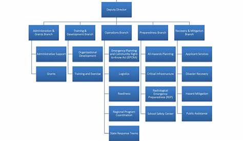 Him Department Organizational Chart