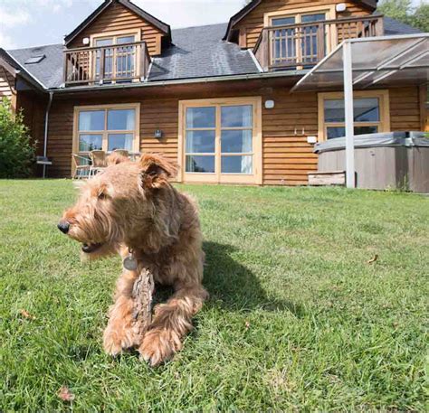 Turn left at this archway and follow the driveway for about one mile. Pet-Friendly Lodges in Scotland | Loch Lomond Waterfront