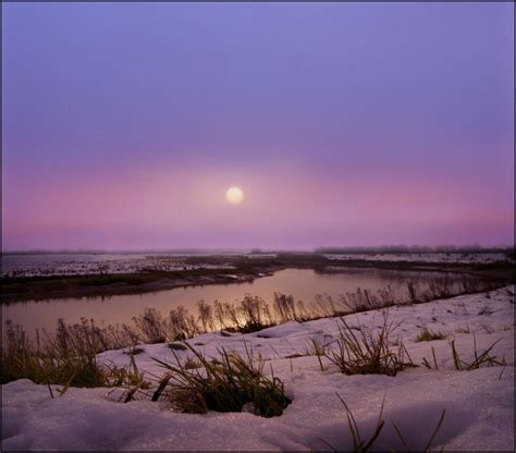 Wallpaper Winter Sky Plants Mist Snow Water Fog Sunrise Dawn