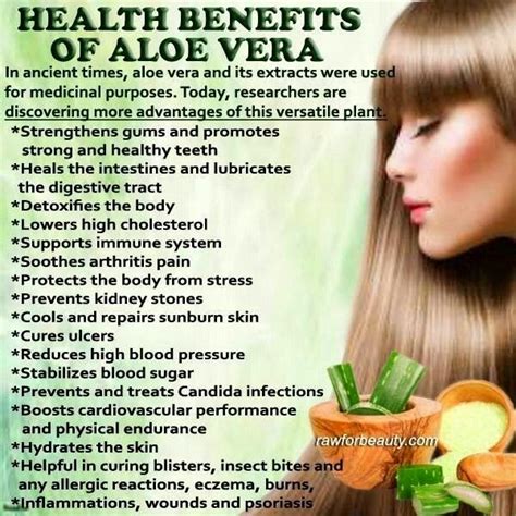 Aloe hydrates the skin and provides a soothing effect, heals burns and can treat acne. Old Time Remedies, Health and Wellness: JAMAICAN HERB ...