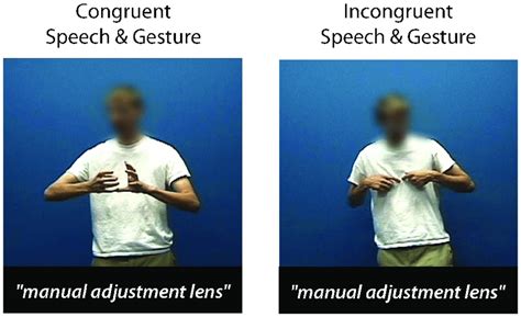 Still Images Taken From Videos Used In The Gesture Classification Task