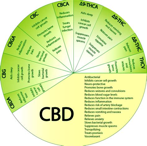 What Are Cannabinoids Thc Cbd And Cbn Explained Allbud