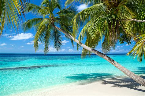 Best Resorts In Maldives, Maldives Resort, Inclusive Resorts, Tropical ...