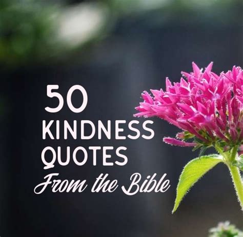 50 Kindness Quotes From The Holy Bible Letterpile