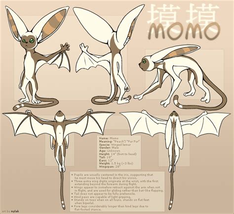 Avatar Momo Reference Sheet By Nylak On Deviantart Avatar Legend Of