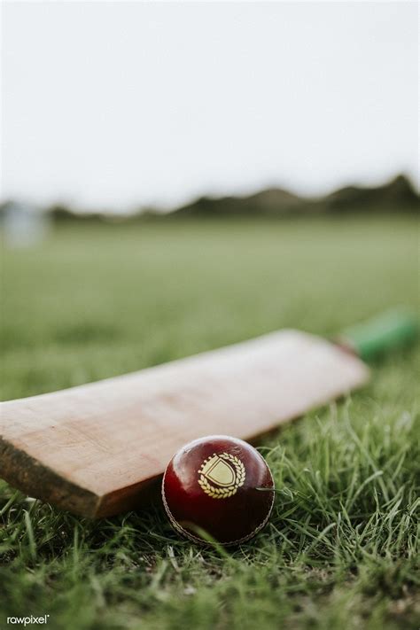 Cricket Bat And Ball On Green Grass Premium Image By Felix Cricket Bat