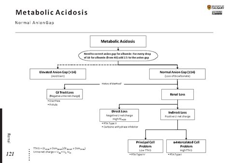 Anion Gap Metabolic Acidosis Causes