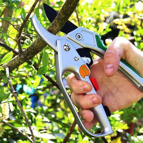 8 Best Ratchet Pruning Shears Less Effort Required For Greater Cuts