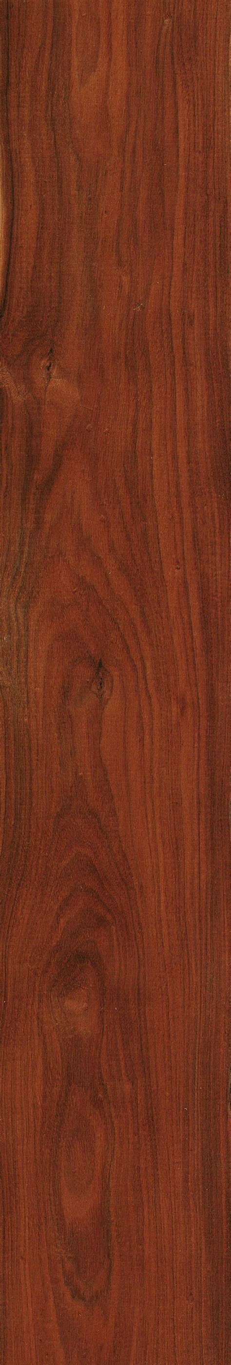 Brazilwood The Wood Database Lumber Identification Hardwood