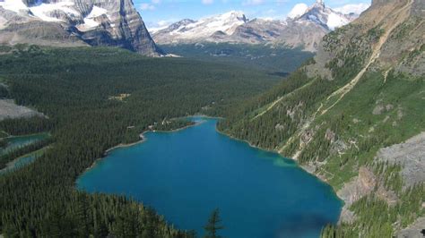 Lago O´hara Columbia Británica Canadá Columbia Britanica