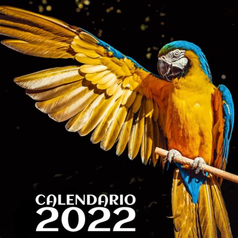 Sintético 90 Imagen Calendario De Colombia 2022 Con Festivos Alta