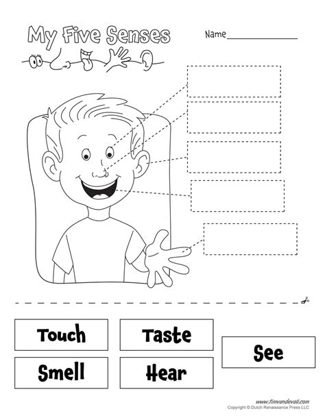 Cells are covered by a cell membrane and come in many different shapes. Five Senses Worksheet - Tim van de Vall