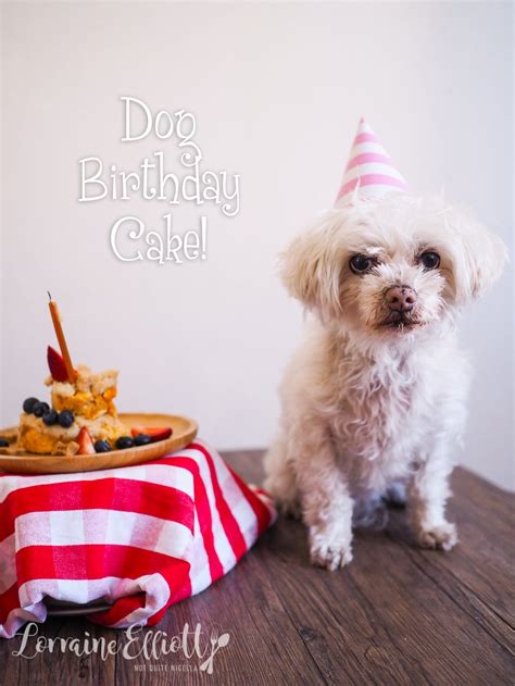 Dog biscuits are a crunchy treat featuring flavors he'll love, like peanut butter, bacon, cheese, liver and other irresistible tastes. Easy Dog Birthday Cake @ Not Quite Nigella