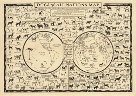 Vintage Illustrated World Map With Dog Breeds Of Nations Canvas Print