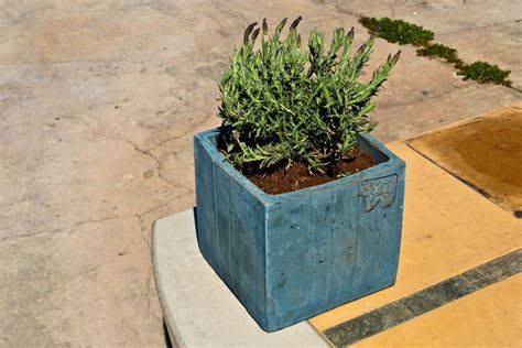 Diy concrete planters concrete molds diy planters concrete crafts concrete art concrete projects diy home decor for apartments diy geometric concrete planters made from a cardboard mold. How to make your own concrete planter | The Owner-Builder ...