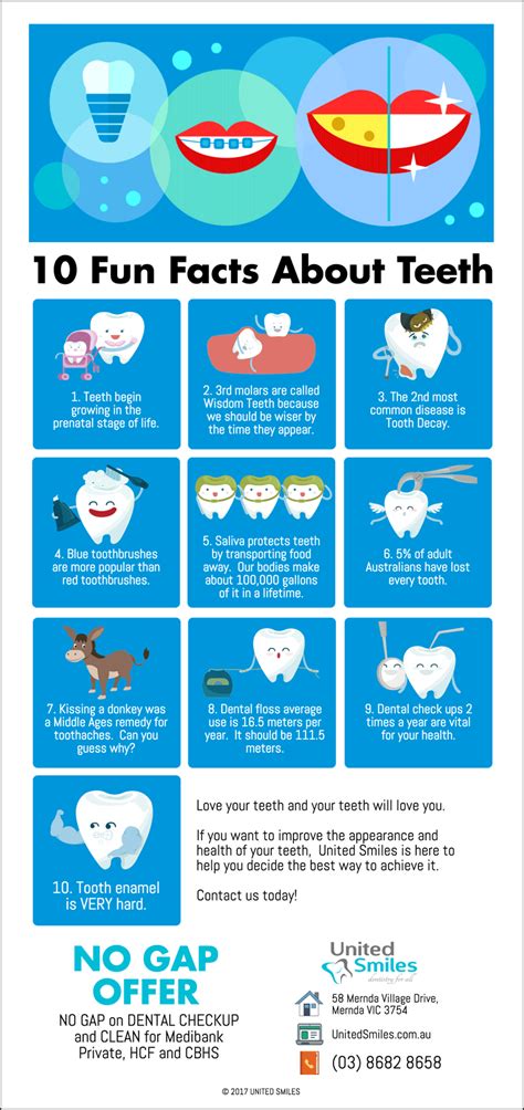 10 Fun Facts About Teeth United Smiles