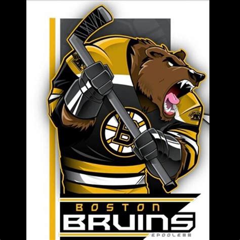 Boston Bruins Bear Mascot Bears On Ice Blades And The Bear