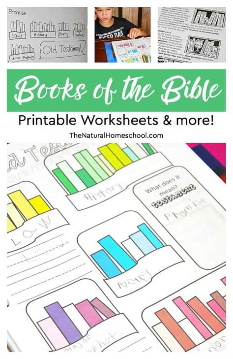 Free Printable Books Of The Bible Worksheets Money