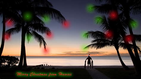 Tropical Christmas Wallpaper 52 Images