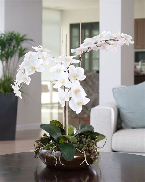 Deluxe Phalaenopsis Silk Orchid At Petals