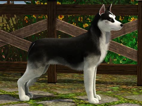Sims 3 Siberian Husky By Huntinlabs On Deviantart