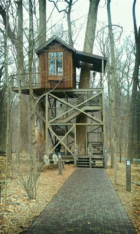 1000 Images About Tree Houses On Pinterest Tree Houses Treehouse