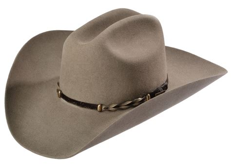 Stetson Stone Portage 4x Buffalo Felt Cowboy Hat Sheplers