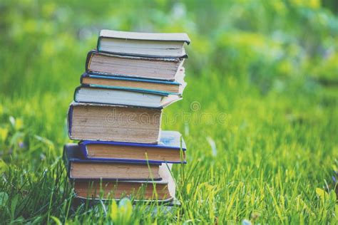 The Stack Of Books Outdoors Stock Image Image Of Knowledge Read