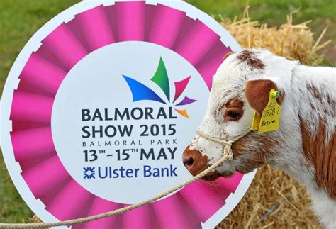 Balmoral Show Belfast Live
