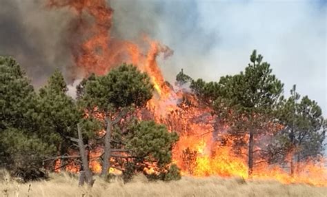 Las aeronaves tratarán de aplacar el fuego por medio de un si. 50% de incendios forestales son por actividades agropecuarias