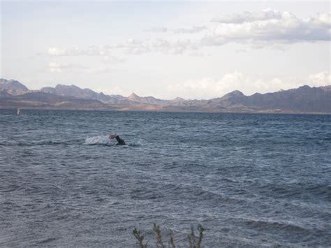 Taylor Seavey Swim In Lake Mead