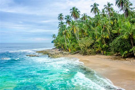 Caribbean coast - Costa Rica Specialists