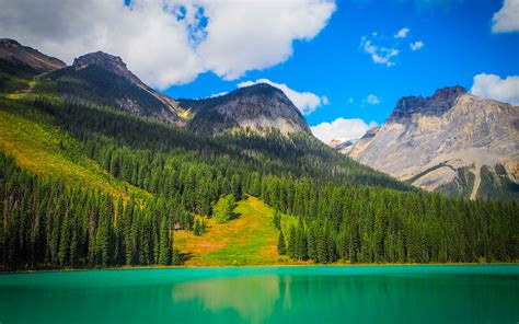 Download Wallpapers Emerald Lake 4k Mountains Forest Yoho National