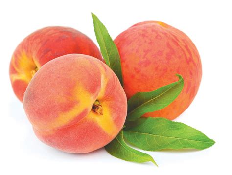 Whats In Season Peach Edible Jersey