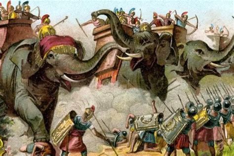 Sejarah Kelahiran Nabi Muhammad Saw Kisah Pasukan Gajah Dan Burung