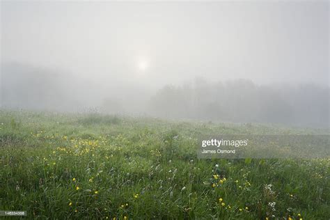 Sun Breaking Through Morning Fog High Res Stock Photo Getty Images