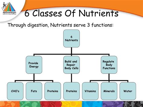 Ppt Nutrition Basics Powerpoint Presentation Free Download Id6457868