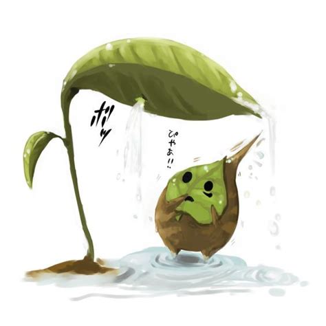 Makar The Korok Kawaii Yahoo Search Results Image Search Results Game