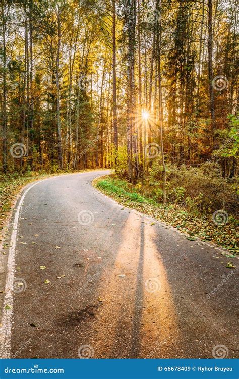 Winding Asphalt Road Path Walkway Through Autumn Forest Sunset Stock