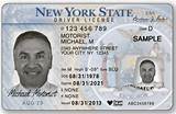 Driver License In Ny For Undocumented Pictures
