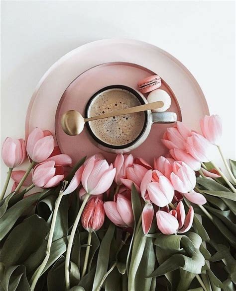 Coffee And Flowers Tulip In 2020 Good Morning Coffee Spring